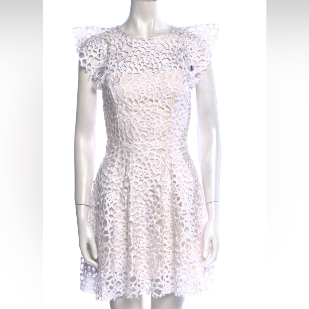 Alexis Lace Pattern Mini dress